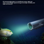 Wireless Underwater Visual Fish Detection Camera