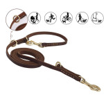 Double Copper Hook Multifunctional Dog Leash