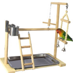 Wooden Small Cockatiel Floor Parrot Standing Stand