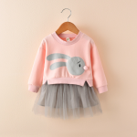 New spring infant skirt 1 long sleeved dress 2 female baby cartoon 3 4 princess dress lace dress tide