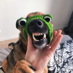 Knitted Wool Pet Hat Photo Frog Headdress