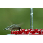 Hanging Red Hexagonal Hummingbird Feeder With Hook