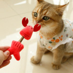 Cat Cleaning Oral Snacks Tooth Cleaning Vent Doll Supplies Kittens Mu Tianmiao Molar Rod Cat Toys