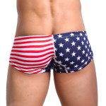 Flag printed shorts