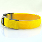 Pet Supplies Dog Luminous Collar Luminous Collar Fluorescence