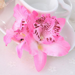 Double orchid flower of Thailand bride wedding flower hairpin beach holiday photo photo hair accessories factory