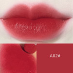 Lipstick Moisturizing Lipstick Student Style Chinese Cosmetics Color Makeup