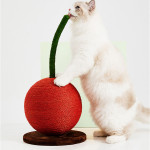 Big Orange Cherry Cat Climbing Pet Fruit Toy