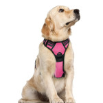 Large Dog Vest Leash For Dogs