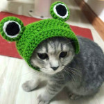 Spring And Summer Plankton Young Wool Knitted British Short Pet Hat