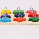 Parrot Training Toy 9 Color Wooden Blocks