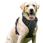 Large Dog Vest Leash For Dogs