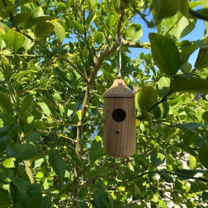 Wooden Hanging Hummingbird House Mini Nest