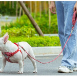 Outdoor Pet Dog Floral Round Hand Holding Rope