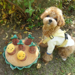 Sweet Potato Set Pet Toys