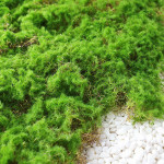 Moss Skin Piece Moss Flocking Ornament Soft Decoration Landscaping Rockery Turf Grass