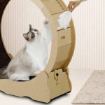 Cat Wheel, Cat Treadmill, Exercise Wheel, Cute Cat Furniture, Pet Toy, Cat Toy, Cats Loss Weight Device