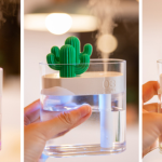 Transparent Cactus Humidifier