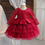 Girls 1 Year Birthday Dress Lace Wedding Flower Costume