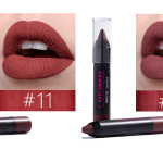 12 PCs Lipstick Kit Long Lasting Matte Set Lipstick