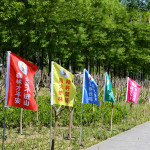 Simple Forest Warning Fire Safety Flags