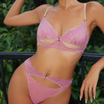 French Underwear Embroidery Lace Bra Set