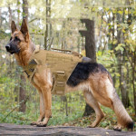 Tactical Training Dog Chest Strap