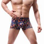 Gingko Leaf Printing Large Size Men's Boxers