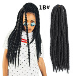 Spring Braid Wig 22 Inches